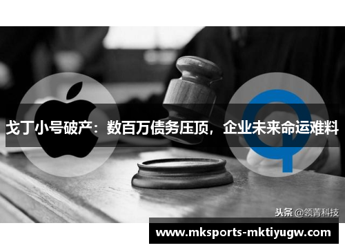 戈丁小号破产：数百万债务压顶，企业未来命运难料